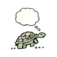 Cartoon Tortoise N63