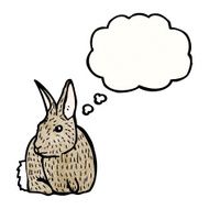 rabbit illustration N5