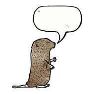 beaver illustration N2