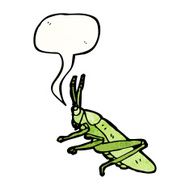 bug illustration N2