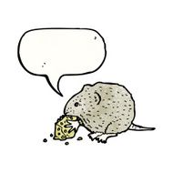 mouse nibbling cheese N2