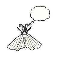 big white moth illustration