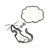 cartoon white mouse with thought bubble N20