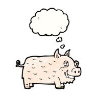 Cartoon Pig N71
