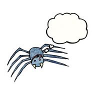 Cartoon Spider N40