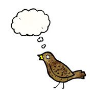 Bird cartoon N4