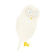 Cartoon Owl N188