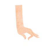 cartoon hand picking flower N12