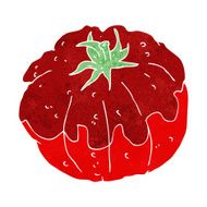 Cartoon Tomato N165