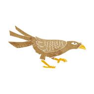 Cartoon Bird N477