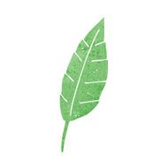 Cartoon Leaf N107