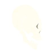 skull illustration N8