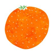 Cartoon Orange N27