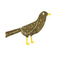 Cartoon Bird N479