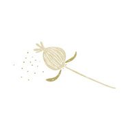 cartoon dried poppy flower N5