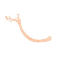 Cartoon Arm Holding Up N8