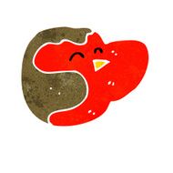 cartoon robin N118