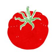 Cartoon Tomato N170