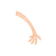 cartoon arm N183