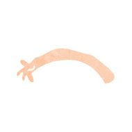 cartoon arm N188