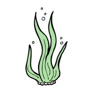 Cartoon Seaweed N75