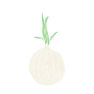 Cartoon Onion N18