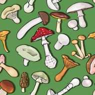 Vector Seamless Pattern of Mushrooms