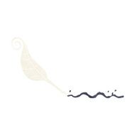 cartoon feather quill N12