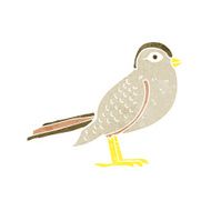 cartoon garden bird N49