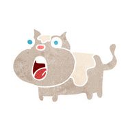 caroton shocked cat N3