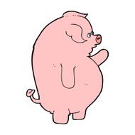 cartoon fat pig N8