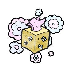 Cartoon Tissue Box N5