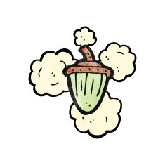 cartoon acorn N24