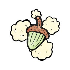 cartoon acorn N25