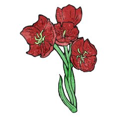 flowers illustration N24