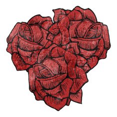 flowers illustration N27