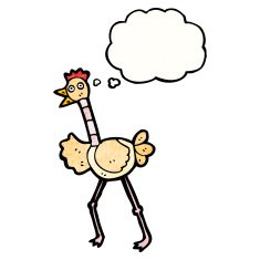 Cartoon Ostrich N15