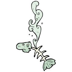 Cartoon Fish Bones N24