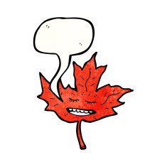 cartoon maple leaf with speech bubble N2