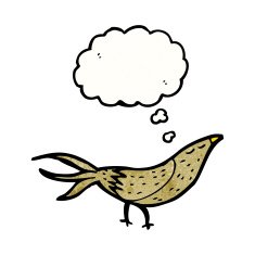 bird with thought bubble cartoon N9