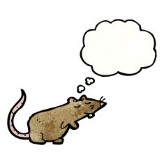 cartoon rat with thought bubble N17