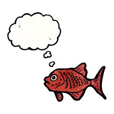 cartoon red fish N3