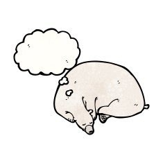 sleeping polar bear cartoon