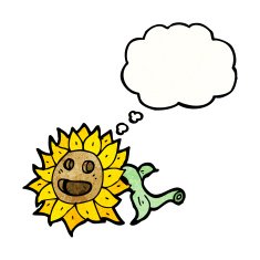 cartoon sunflower with thought bubble N5