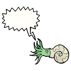 Nautilus Squid Cartoon N8