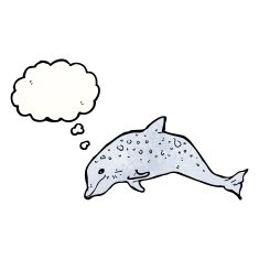 cartoon dolphin with thought bubble N2