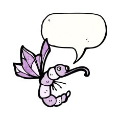 cartoon funny bug N2