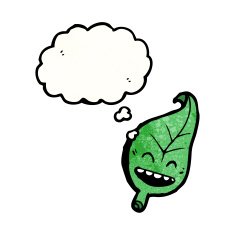 happy leaf with thought bubble N2