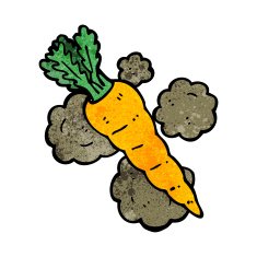 cartoon organic carrot N2