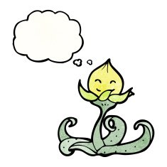 cartoon flower with thought bubble N65